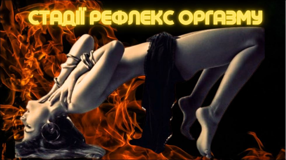Рефлекс оргазма